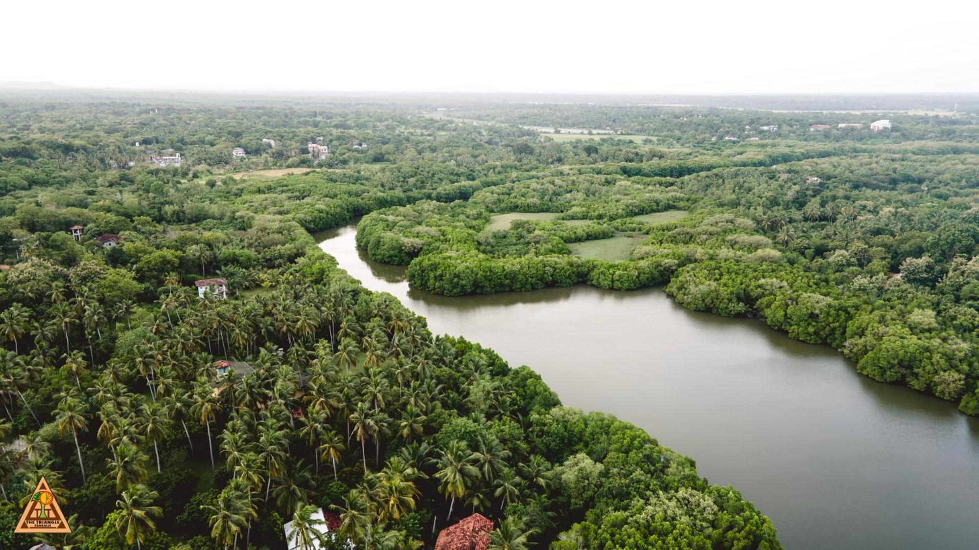 The Triangle Тангалла Экстерьер фото